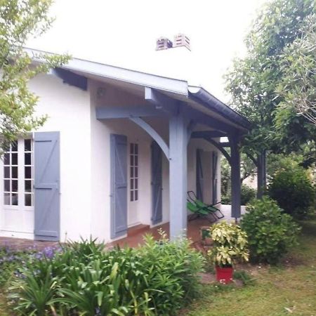 Appartement De Vacances Avec Jardin A 塔尔诺 外观 照片