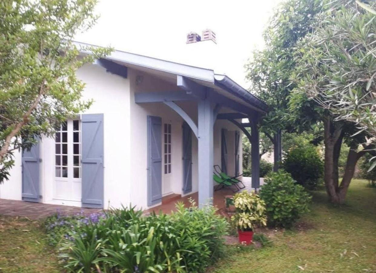Appartement De Vacances Avec Jardin A 塔尔诺 外观 照片